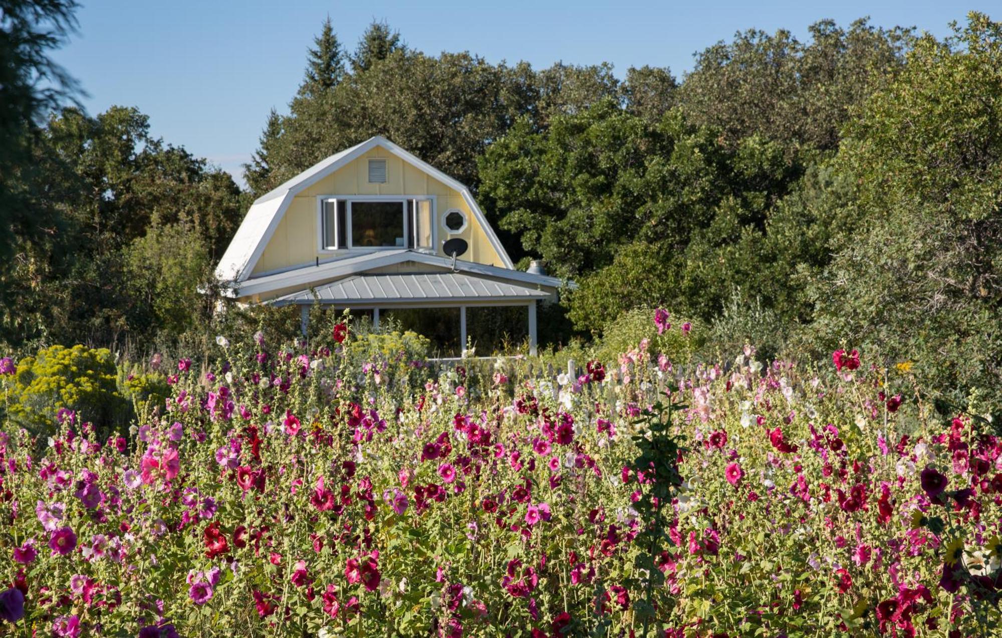 Blue Lake Ranch Hesperus Exterior foto